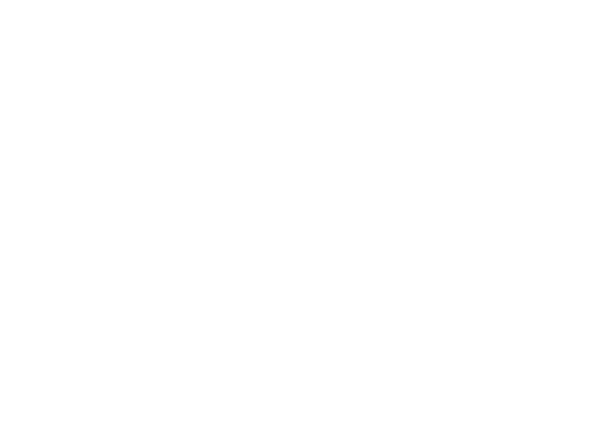 SYT Global — Professional Fair & Organization Services